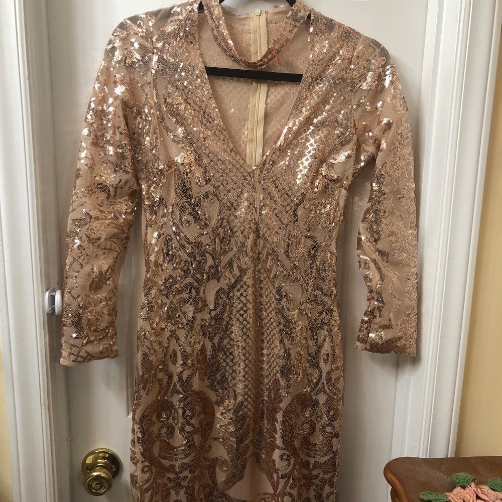 Beautiful Sequin Fur Trim Long Sleeve Dress
